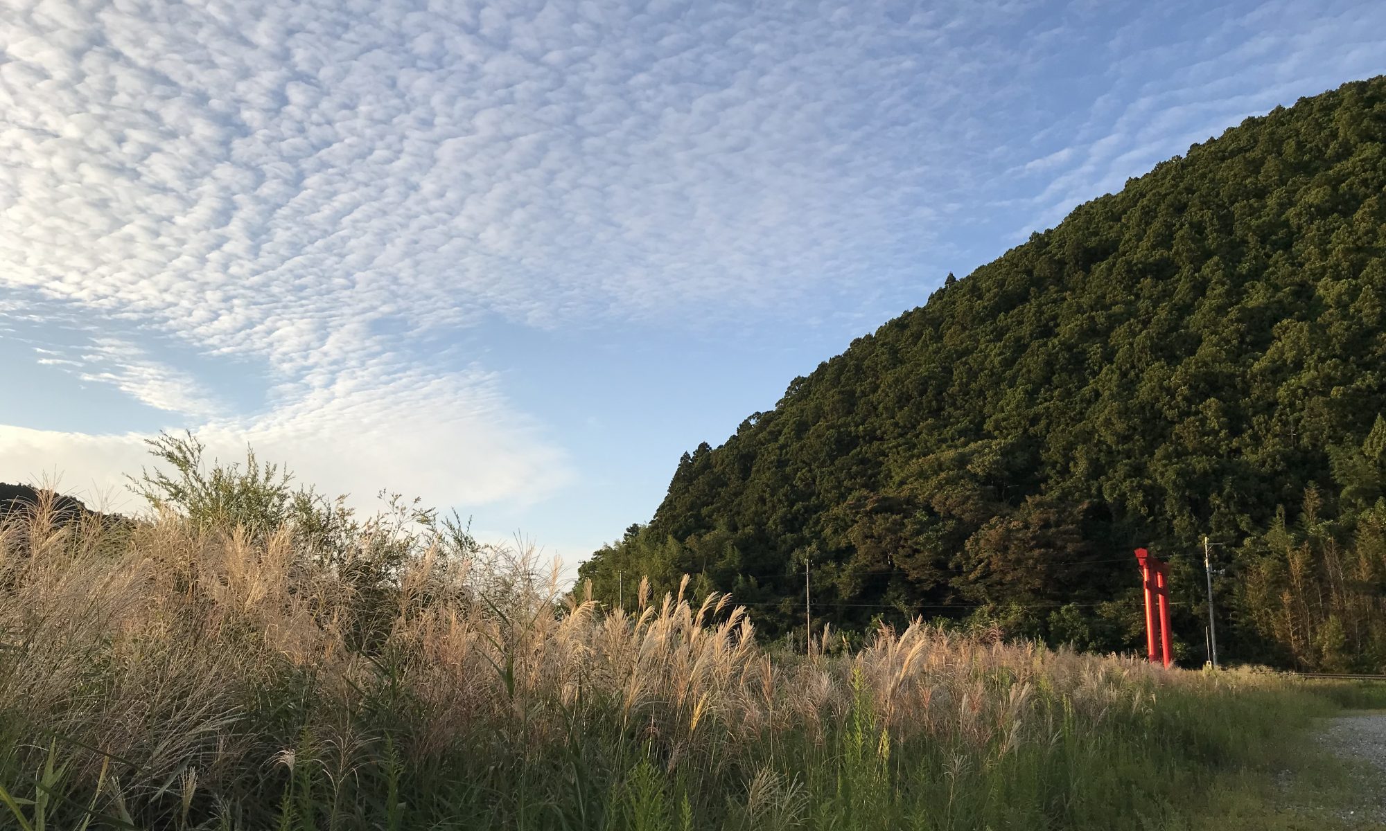 花言葉 南三陸ホテル観洋