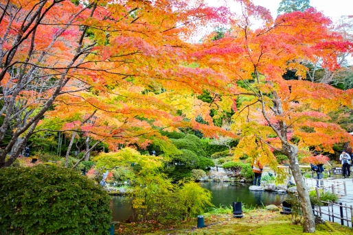 周辺の紅葉スポットをご紹介！