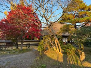 今が見頃！？みやぎの明治村の紅葉