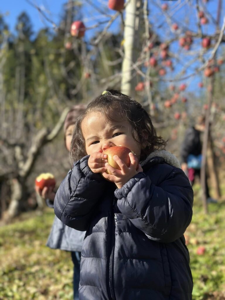 マリンパルだより　12月その2