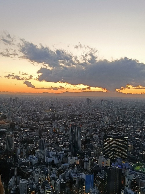 台湾インターンシップ生！東京へ一人旅♪